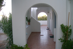 DSC00735